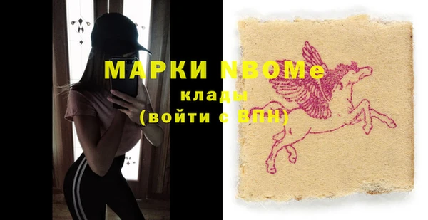 твердый Бородино