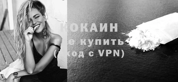 твердый Бородино