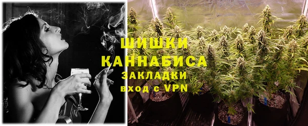 твердый Бородино