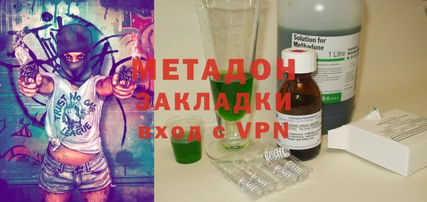 прущие грибы Верея