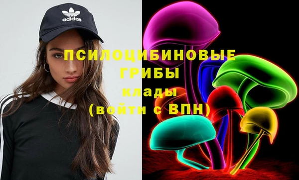 спайс Богородицк