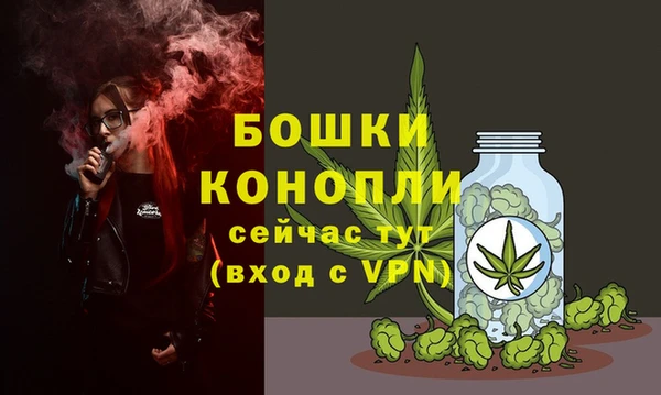 спайс Богородицк