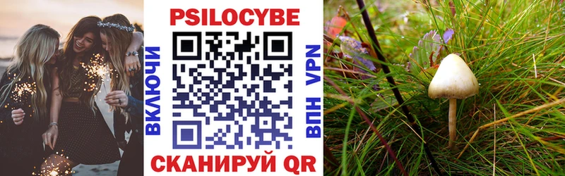 Купить закладки  Шагонар  Галлюциногенные грибы GOLDEN TEACHER 